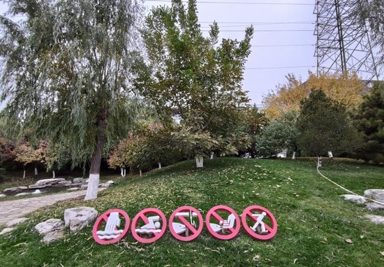 Пример фотографии на камеру Xiaomi Mi Note 10 Пример фотоснимка на основную камеру Сяоми Ми Ноут 10